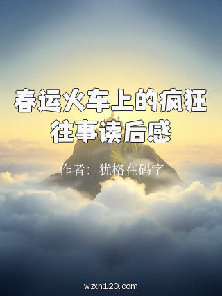 春运火车上的疯狂往事读后感