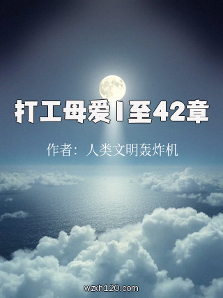 打工母爱1至42章
