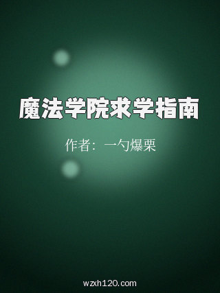 魔法学院求学指南