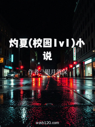 灼夏(校园1v1)小说