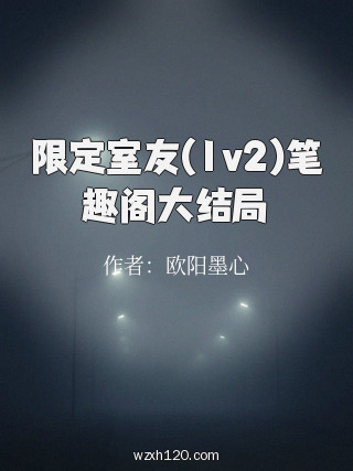 限定室友(1v2)笔趣阁大结局