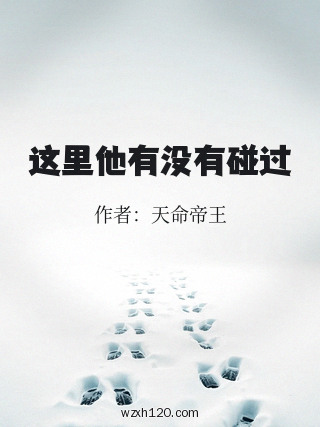 这里他有没有碰过
