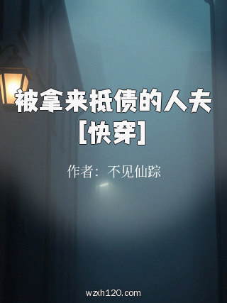 被拿来抵债的人夫[快穿]