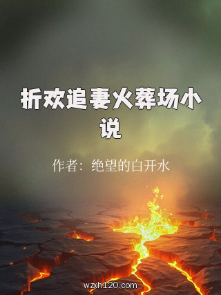 折欢追妻火葬场小说