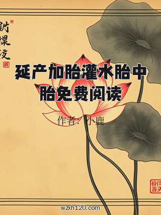 延产加胎灌水胎中胎免费阅读