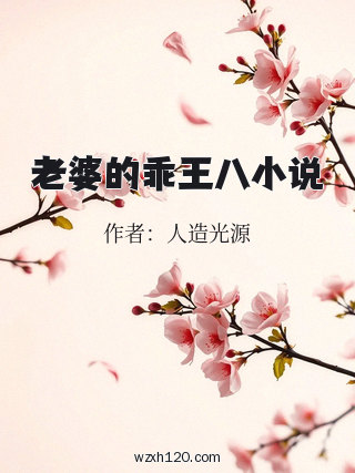 老婆的乖王八小说