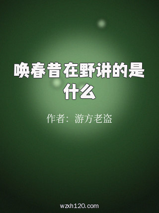 唤春昔在野讲的是什么