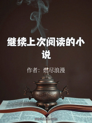 继续上次阅读的小说