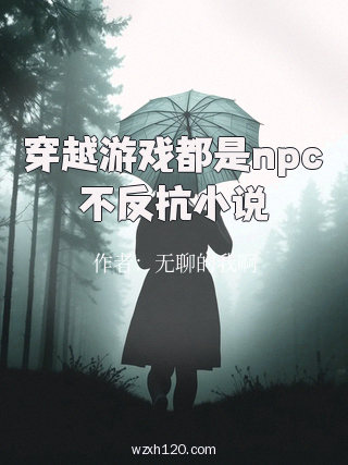穿越游戏都是npc不反抗小说