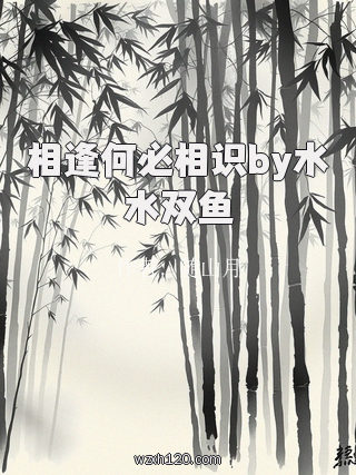 相逢何必相识by水水双鱼