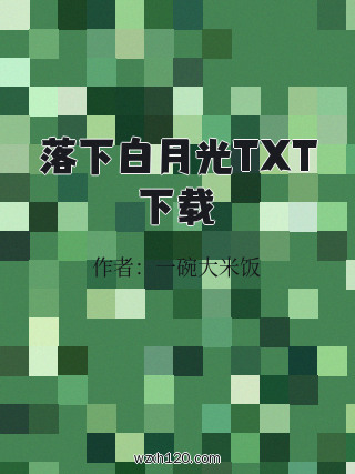 落下白月光TXT下载