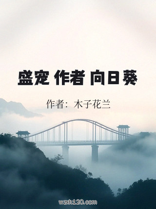 盛宠 作者 向日葵