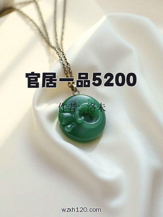 官居一品5200