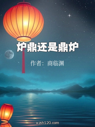 炉鼎还是鼎炉