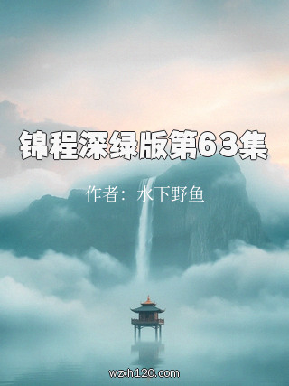 锦程深绿版第63集