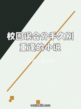 校园误会分手久别重逢的小说