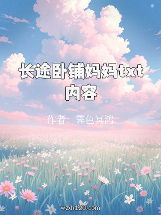 长途卧铺妈妈txt内容