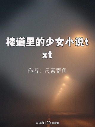 楼道里的少女小说txt