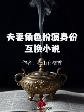 夫妻角色扮演身份互换小说