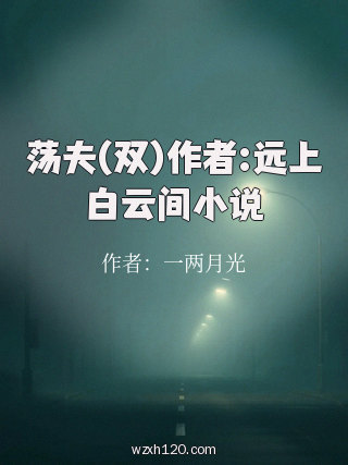 荡夫(双)作者:远上白云间小说
