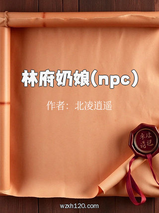林府奶娘(npc)