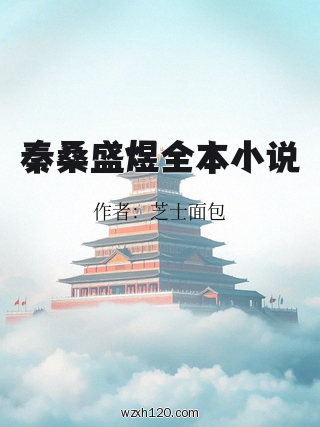 秦桑盛煜全本小说