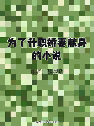 为了升职娇妻献身的小说