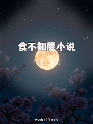 食不知餍小说