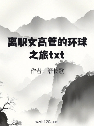 离职女高管的环球之旅txt