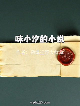 咪小汐的小说
