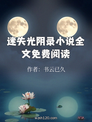 迷失光阴录小说全文免费阅读
