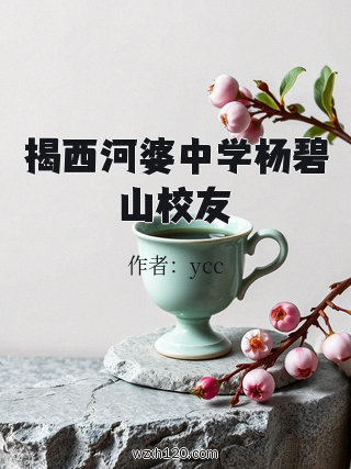 揭西河婆中学杨碧山校友