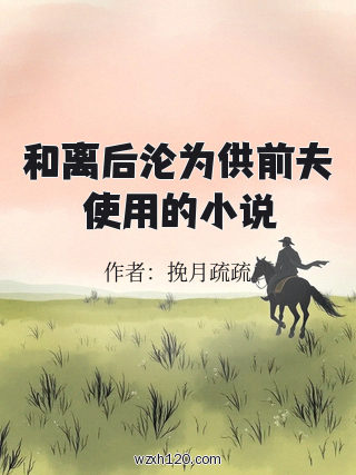 和离后沦为供前夫使用的小说