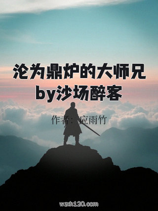 沦为鼎炉的大师兄by沙场醉客