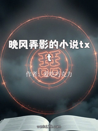 晚风弄影的小说txt