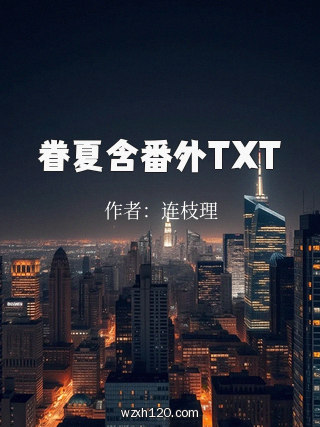 眷夏含番外TXT