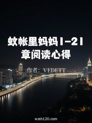 蚊帐里妈妈1-21章阅读心得