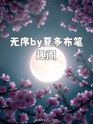无序by夏多布笔趣阁