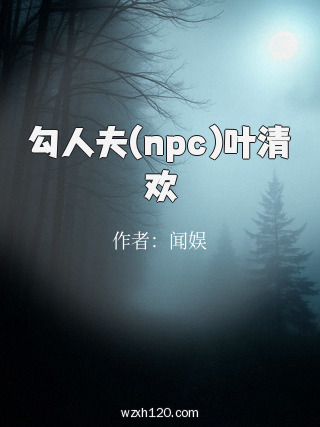 勾人夫(npc)叶清欢
