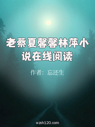 老蔡夏馨馨林萍小说在线阅读