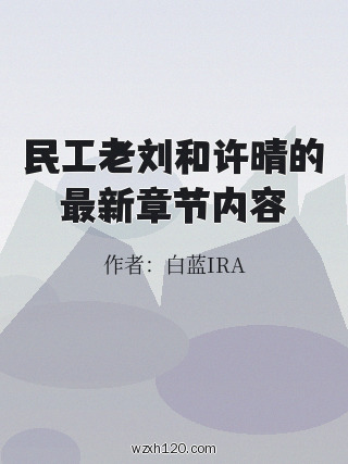 民工老刘和许晴的最新章节内容