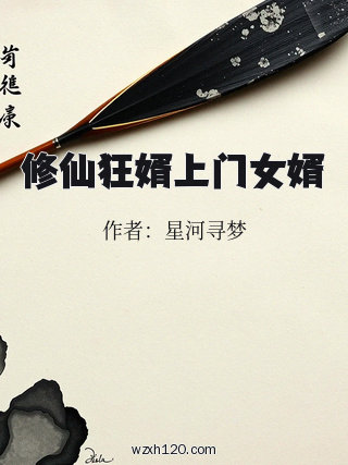 修仙狂婿上门女婿