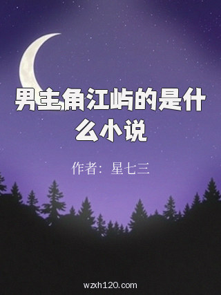 男主角江屿的是什么小说