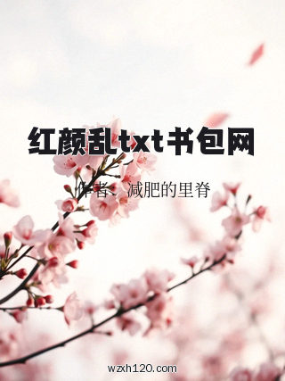 红颜乱txt书包网