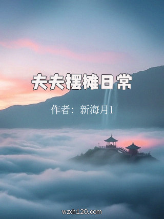 夫夫摆摊日常