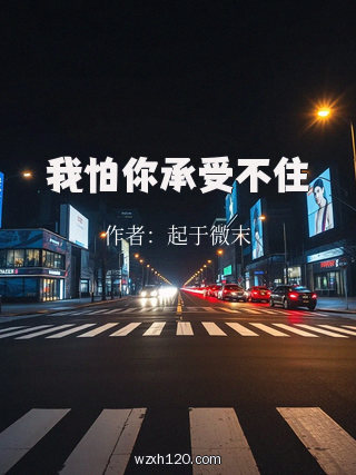 我怕你承受不住