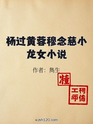 杨过黄蓉穆念慈小龙女小说