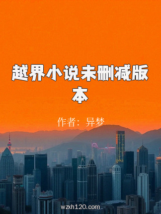 越界小说未删减版本