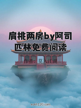 肩挑两房by阿司匹林免费阅读