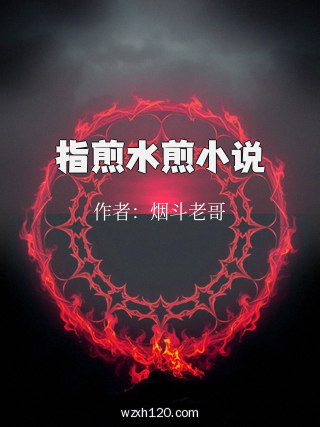 指煎水煎小说